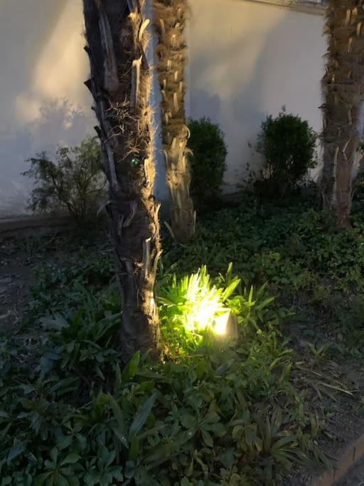At Home 128 : Little Garden In The City Turim Exterior foto