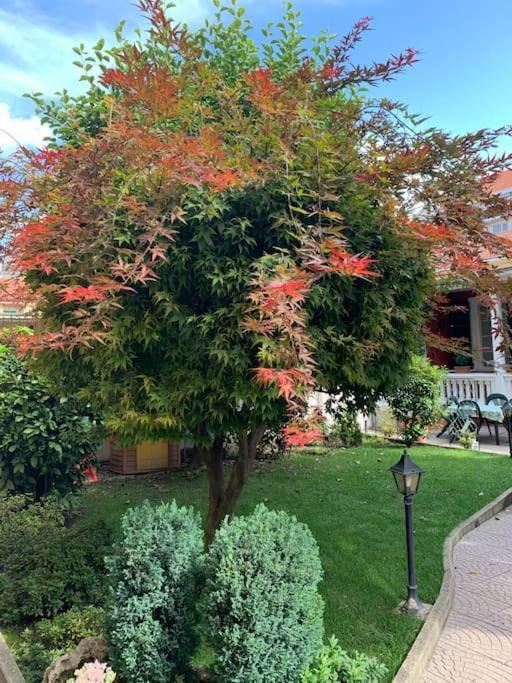 At Home 128 : Little Garden In The City Turim Exterior foto